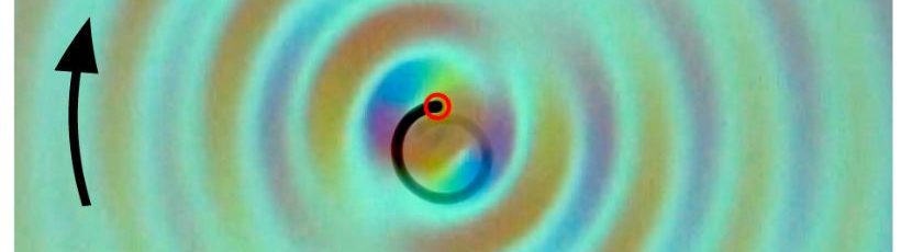 Self-spin