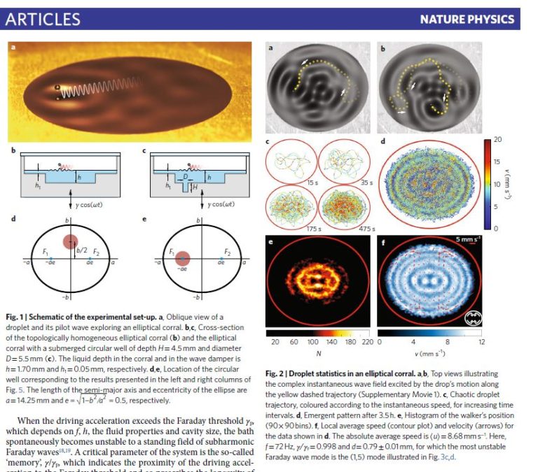 Statistical projection effects in a hydrodynamic pilotwave system